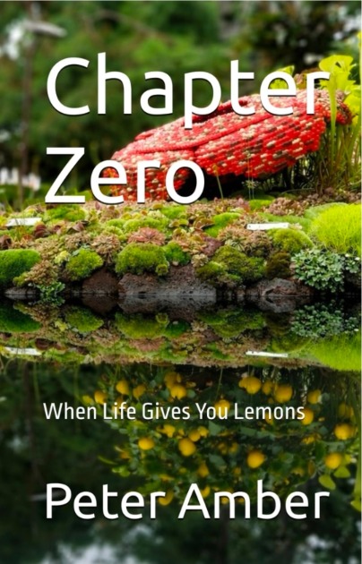 Chapter Zero: When Life Gives You Lemons